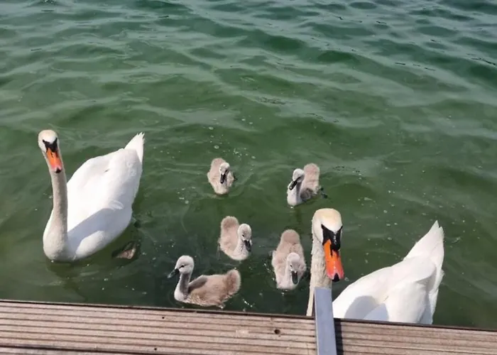 Topsenec-lakeside Dovolenkový dom